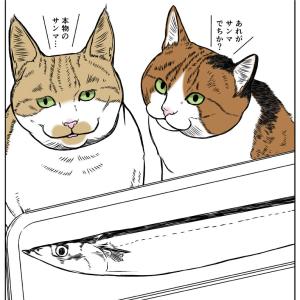 猫の品格
