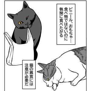猫と老眼