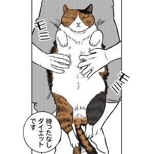 小春ダイエット　運動編