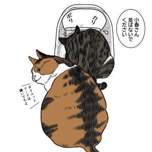 小春ダイエット　食事編