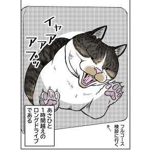 あさひくんとドライブ