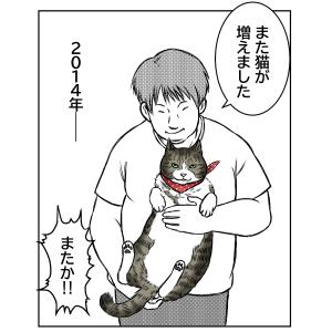 幸運の黒猫