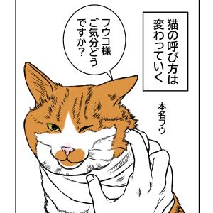 猫の名前の進化について