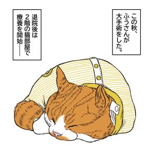 Laughter is the best medicine