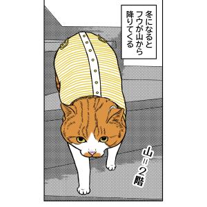 ファブリック争奪戦2025