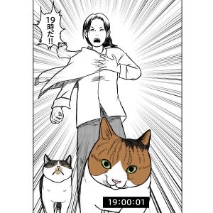 晩御飯ルーティーン