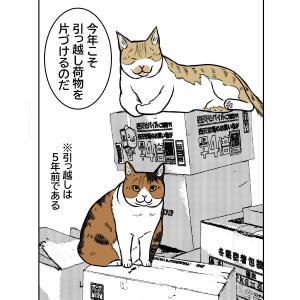 猫と大掃除2026