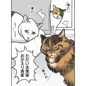 猫に近道なし