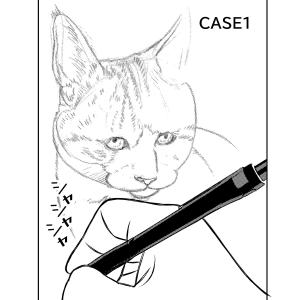 猫飼いの探し物