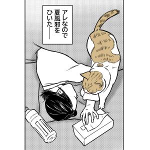 猫と夏風邪1