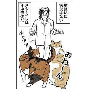 猫と夏風邪2