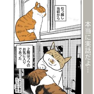 ポケポケ